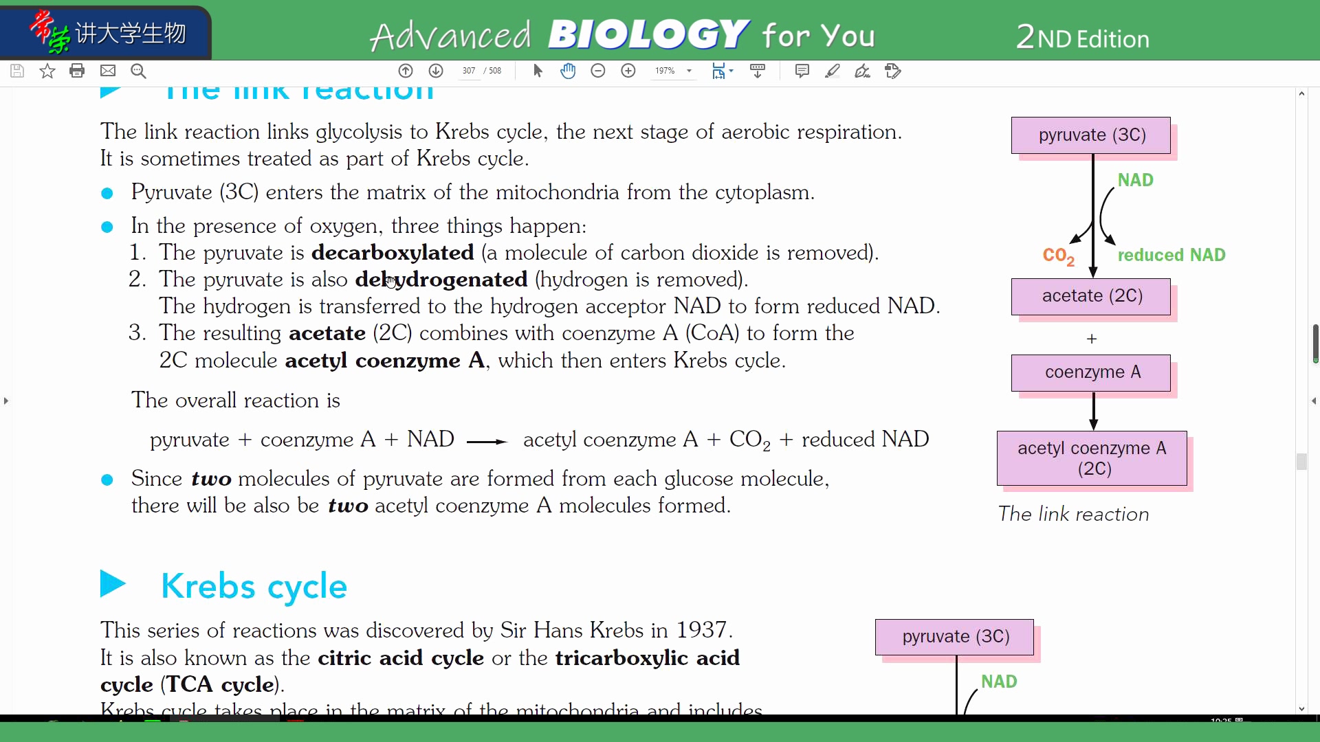 P305 Krebs cycle 常荣讲牛津高中生物BIOLOGY for You OXFORD哔哩哔哩bilibili