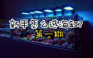 Download Video: 新手开海缸教程第一集，最全零基础开海缸教程，远离割韭菜，方缸、背滤、底滤应该怎么选？海缸必须要蛋分吗？什么样的海缸是好海缸