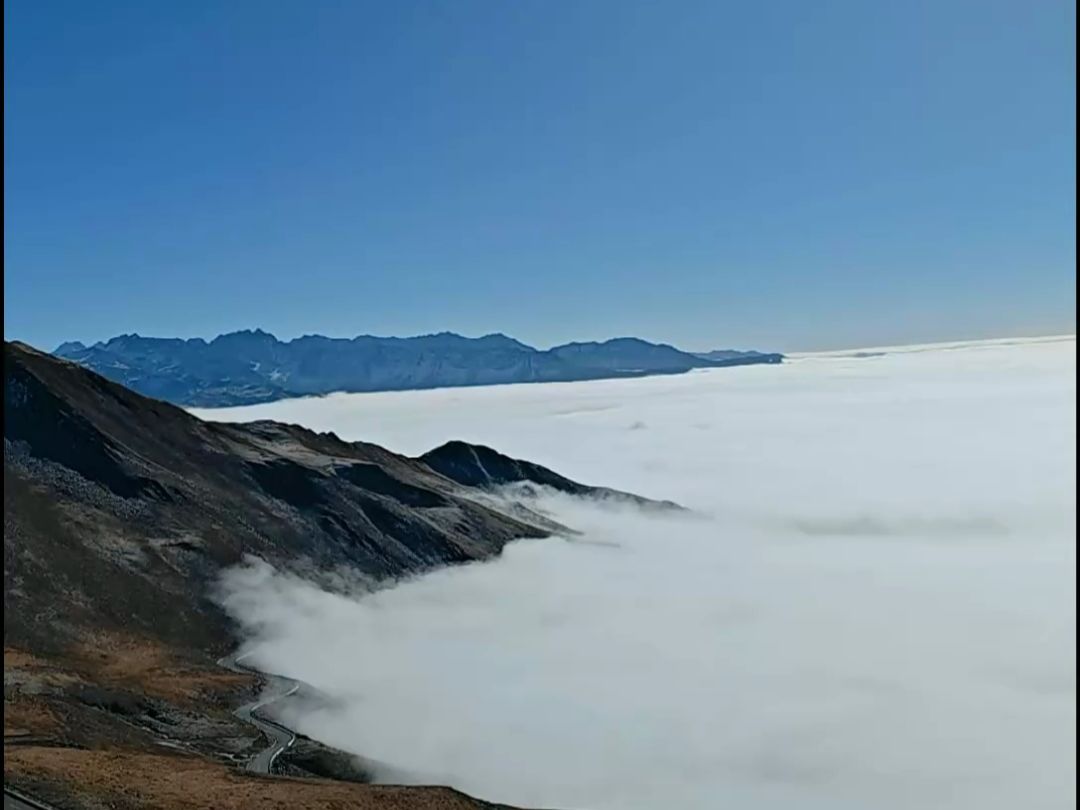 四川夹金山云海[20231216105239]