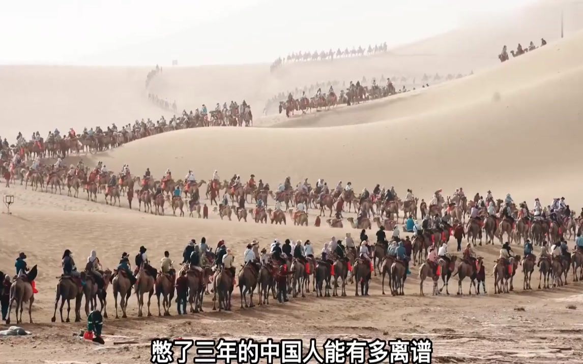 报复式旅游有多离谱,第一次见敦煌堵骆驼,凌晨两点在珠峰排队