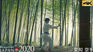 空手・組手編（规则）_哔哩哔哩_bilibili