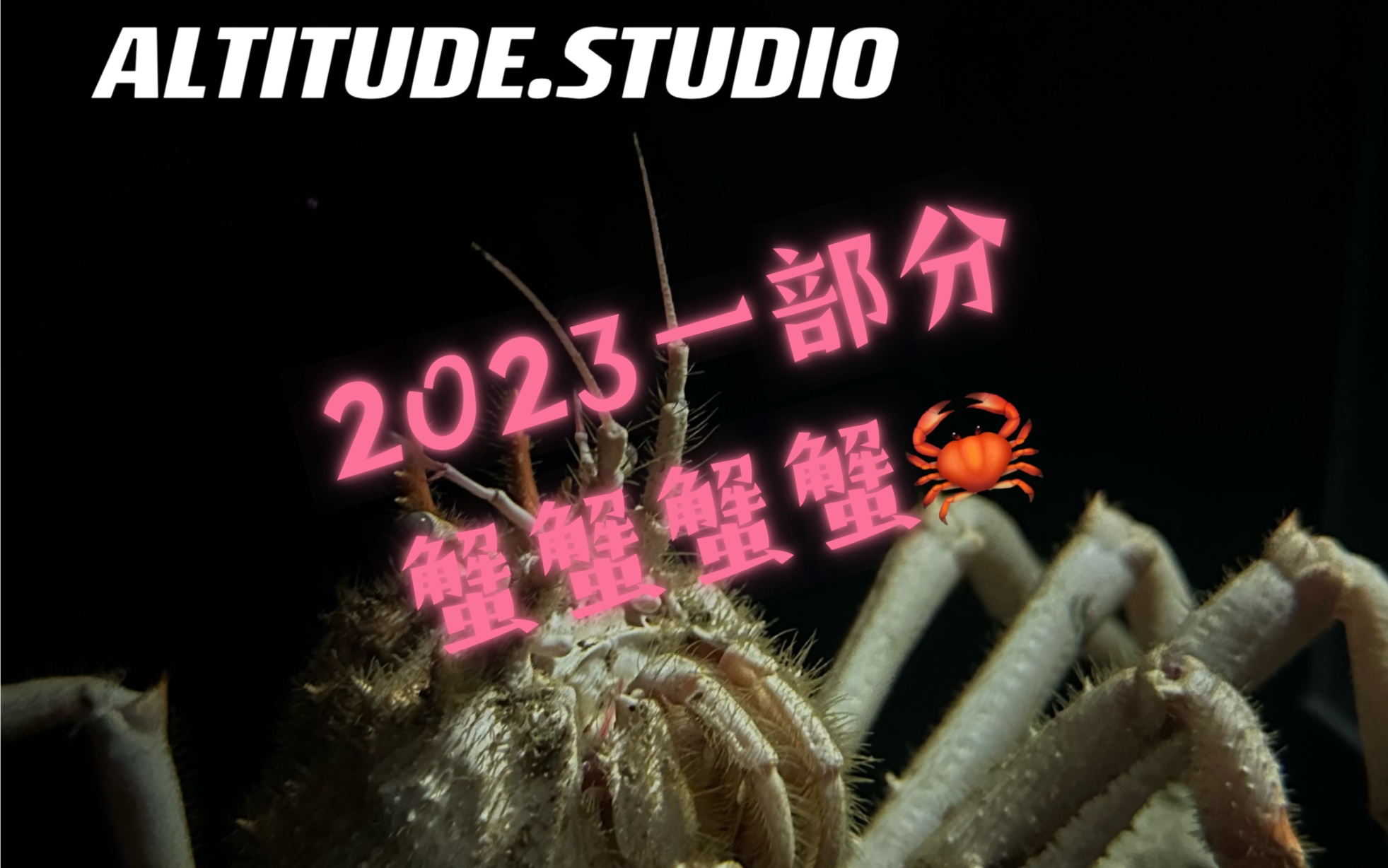 【观赏蟹分享】2023上半年个人饲养的一部分蟹,从深海到陆地,从陆地到洞穴.哔哩哔哩bilibili