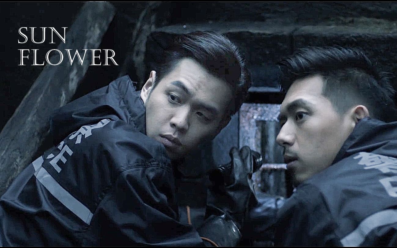 【法医秦明】【林秦】sunflower|你是一朵太阳花啊
