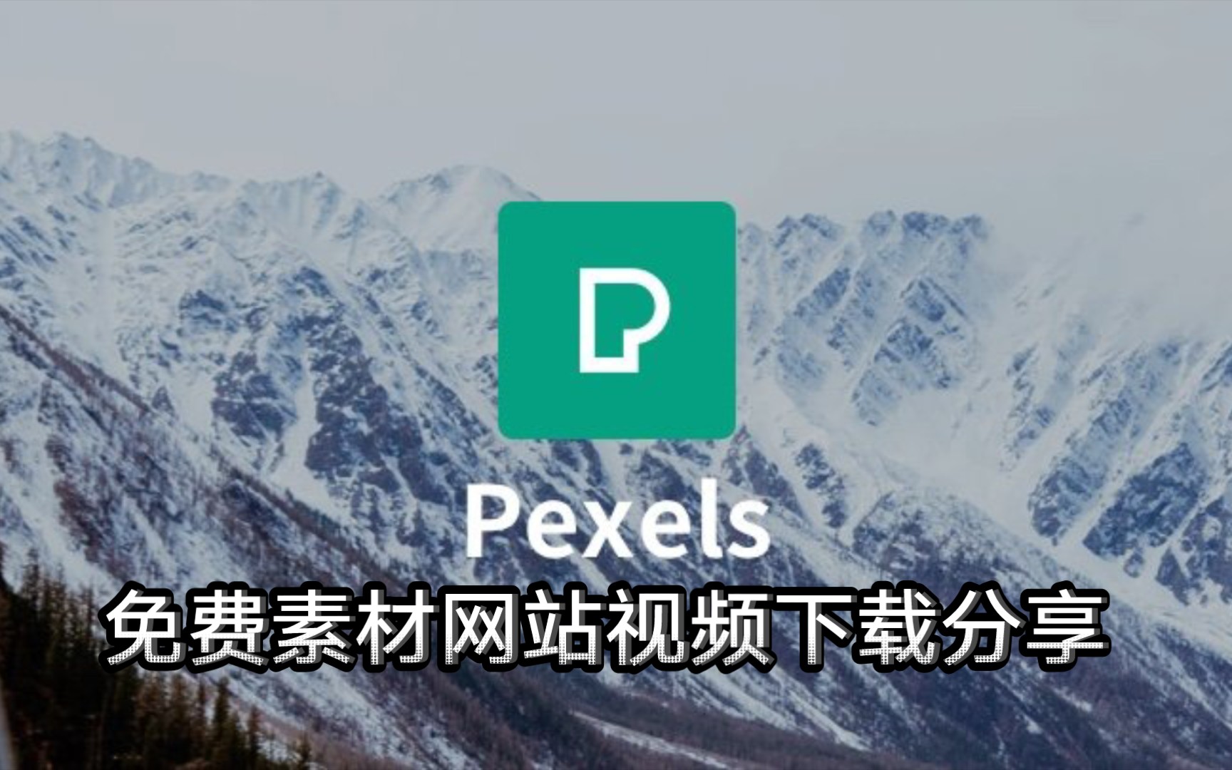 免费素材网站pexels超牛的视频下载方法分享哔哩哔哩bilibili