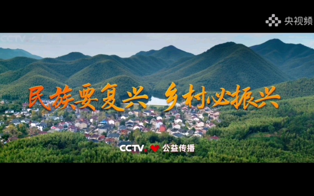 [图]【CCTV公益传播】民族要复兴 乡村必振兴