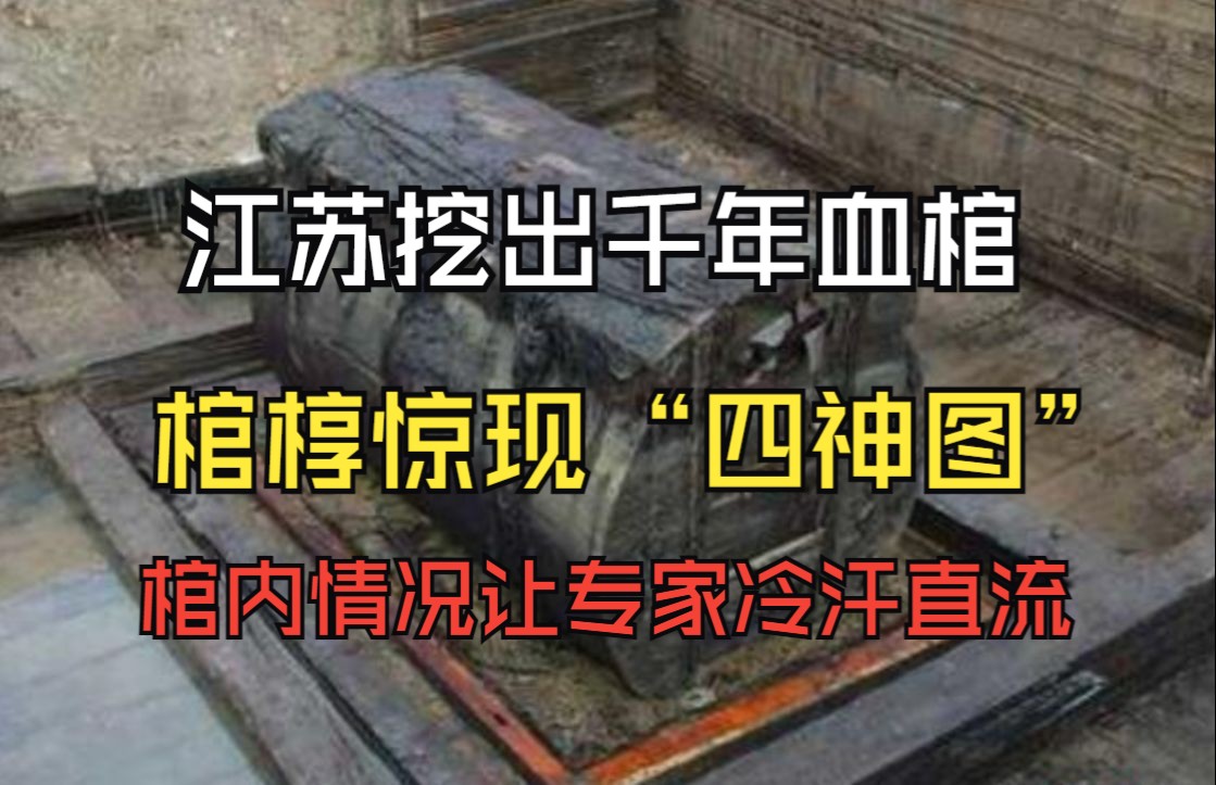 [图]江苏挖出千年血棺，棺椁惊现“四神图”，棺内情况让专家冷汗直流