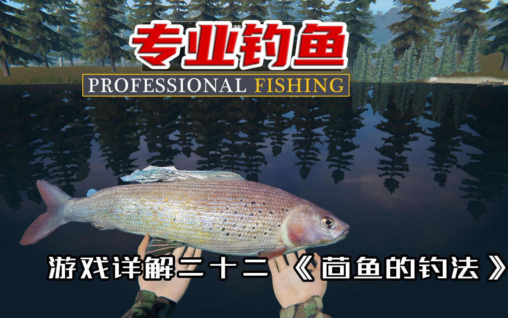 《专业钓鱼》|《Professional fishing》游戏详解二十二 茴鱼的钓法哔哩哔哩bilibili