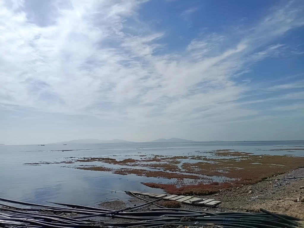 兴城红海滩风景区图片