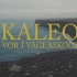 忧郁而温情的歌喉 冰岛民谣 Vor í Vaglaskógi - Kaleo 中文字幕MV