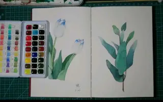 植物画家 搜索结果 哔哩哔哩弹幕视频网 つロ乾杯 Bilibili