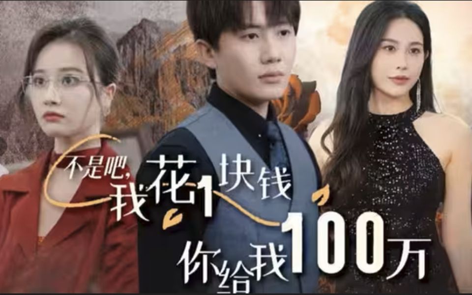 不是吧,我花1块钱你给我100万(1100全集完整版无删减)哔哩哔哩bilibili