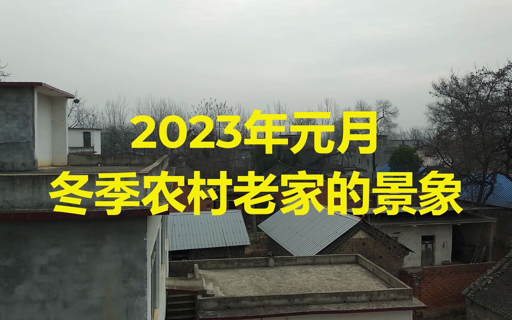 2023年元月冬季农村老家的景象哔哩哔哩bilibili