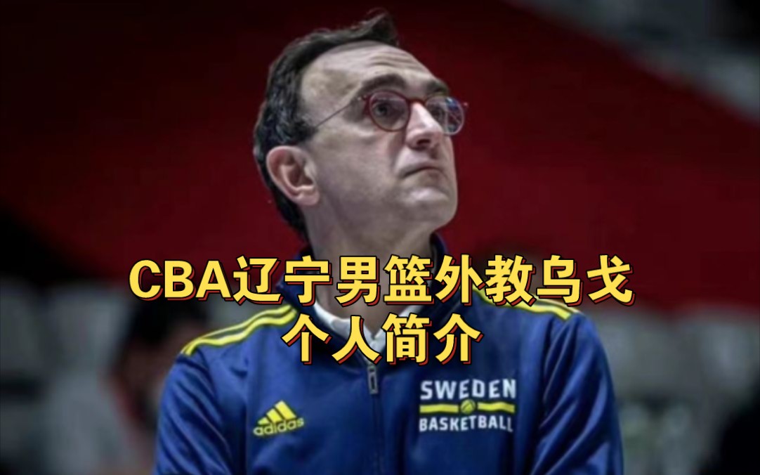 CBA辽宁男篮外教乌戈个人简介,曾任瑞典国家队主教练哔哩哔哩bilibili