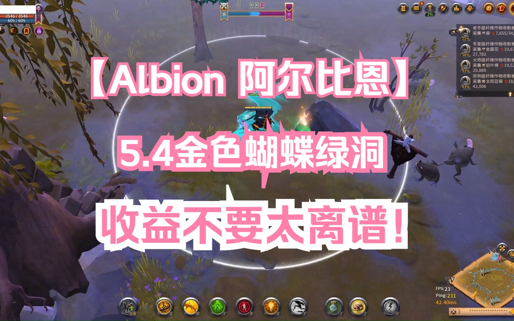 albion阿尔比恩黄区金色蝴蝶5.4绿洞,这收益简直不要太离谱!
