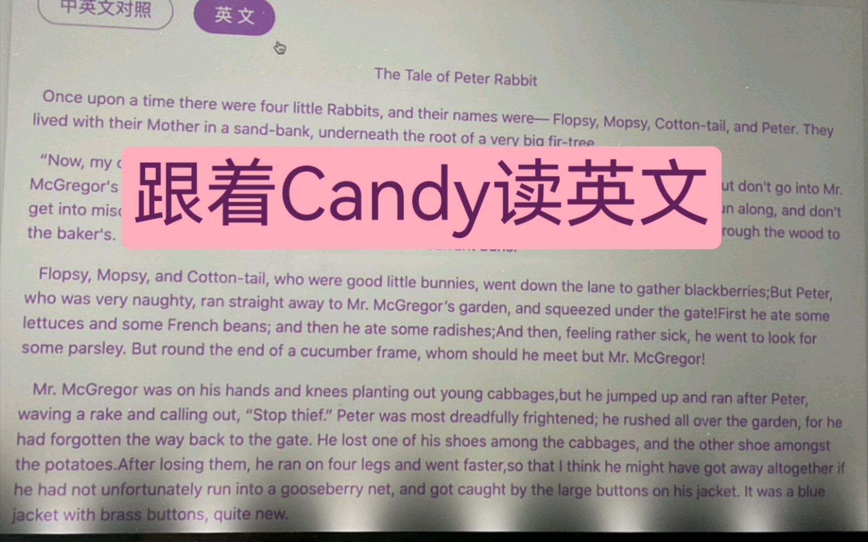 【跟着Candy读英文】The Tale of Peter Rabbit哔哩哔哩bilibili