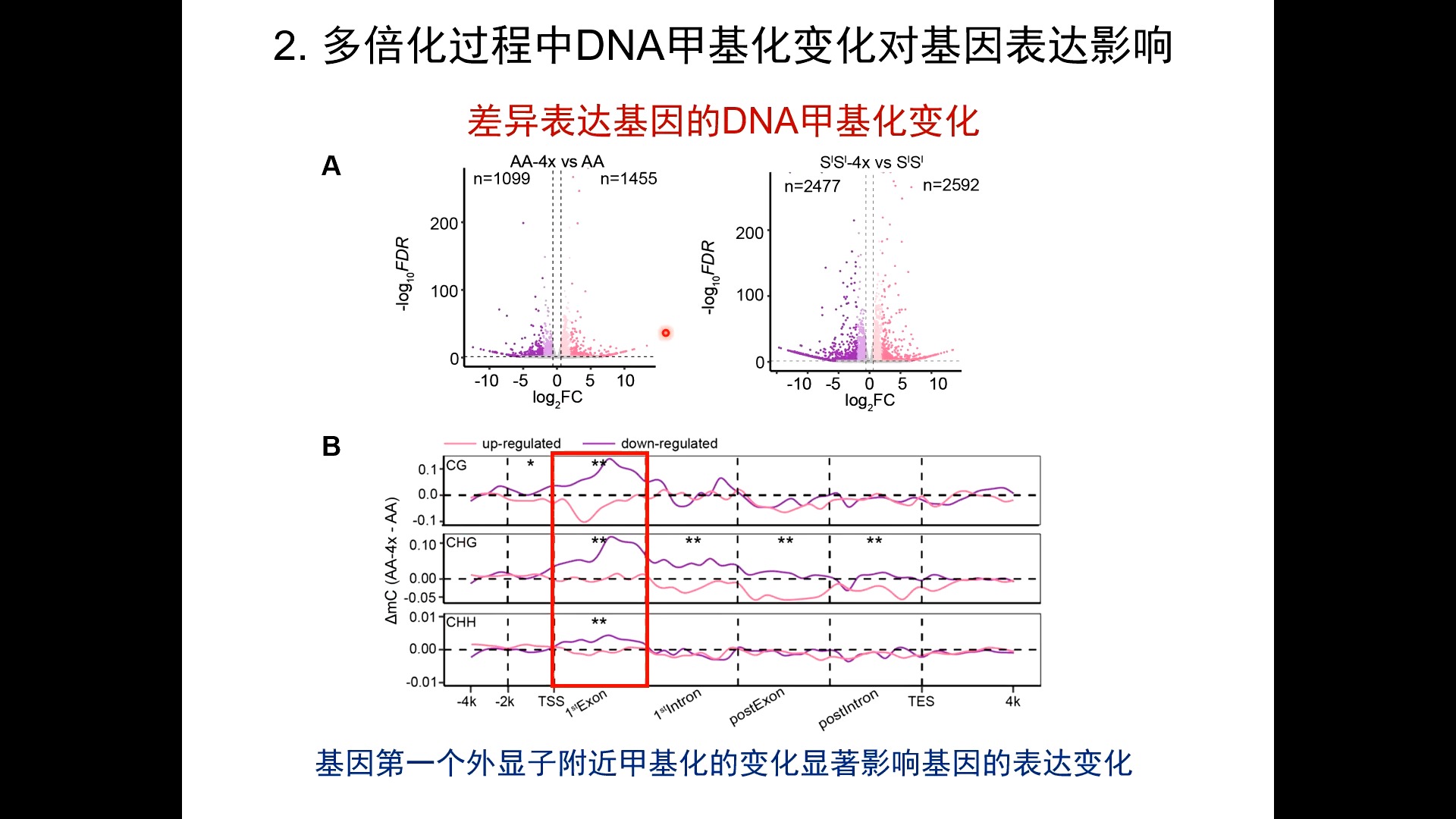 CGM第404期:小麦多倍化过程中DNA甲基化重塑调控根系优势性状形成哔哩哔哩bilibili