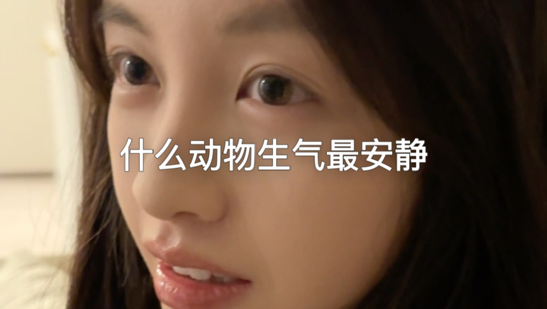 什么动物生气的时候最安静-张胜利的张-张胜利的张-哔哩哔哩视频