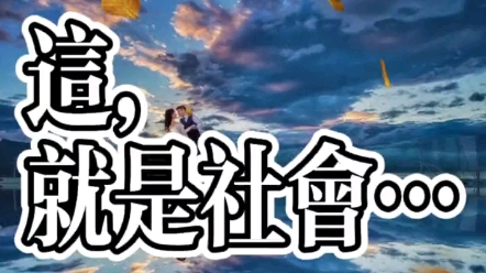 这就是社会