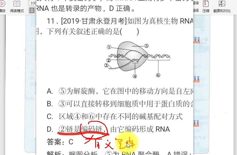 编码链=有义链哔哩哔哩bilibili