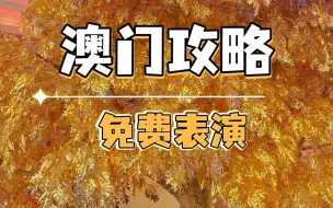 Download Video: 国庆假期在澳门，怎么能错过这些独一无二的表演，还是免费的哦~