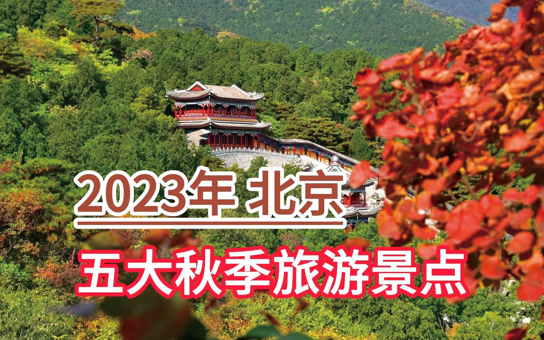 2023年北京五大秋季旅游景点,香山公园、八达岭长城、什刹海哔哩哔哩bilibili