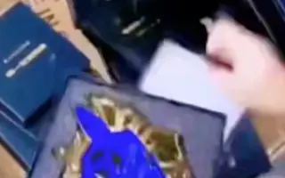 秘乐短视频的王者勋章太好看了