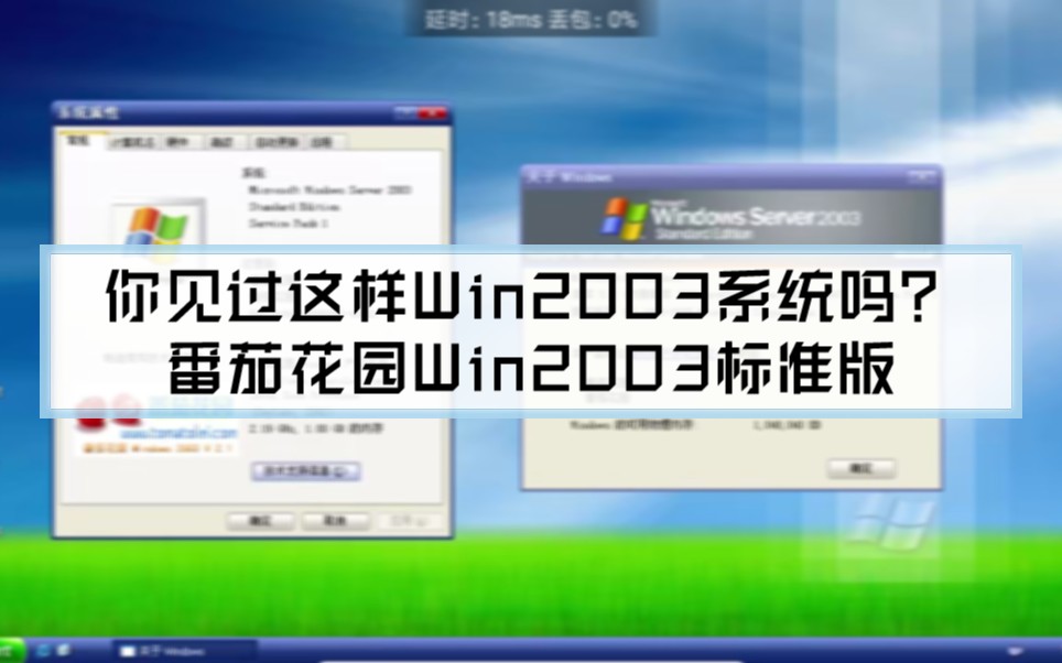 你见过这样Win2003系统吗?  番茄花园Win2003标准版哔哩哔哩bilibili