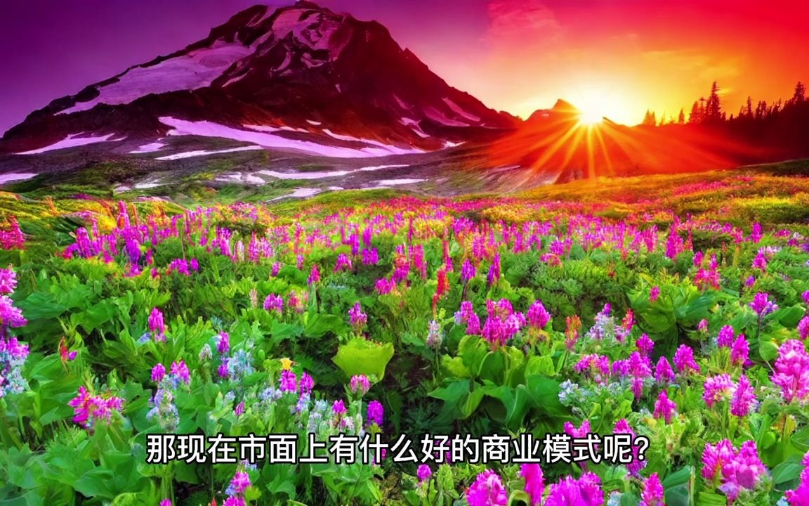 市面上有什么好的引流拓客模式呢?哔哩哔哩bilibili