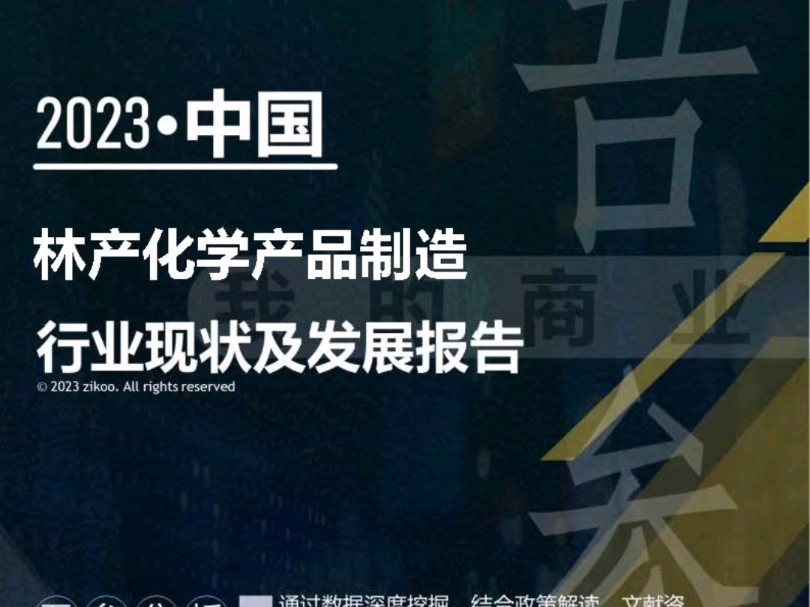 2023年版林产化学产品制造行业现状及发展报告哔哩哔哩bilibili