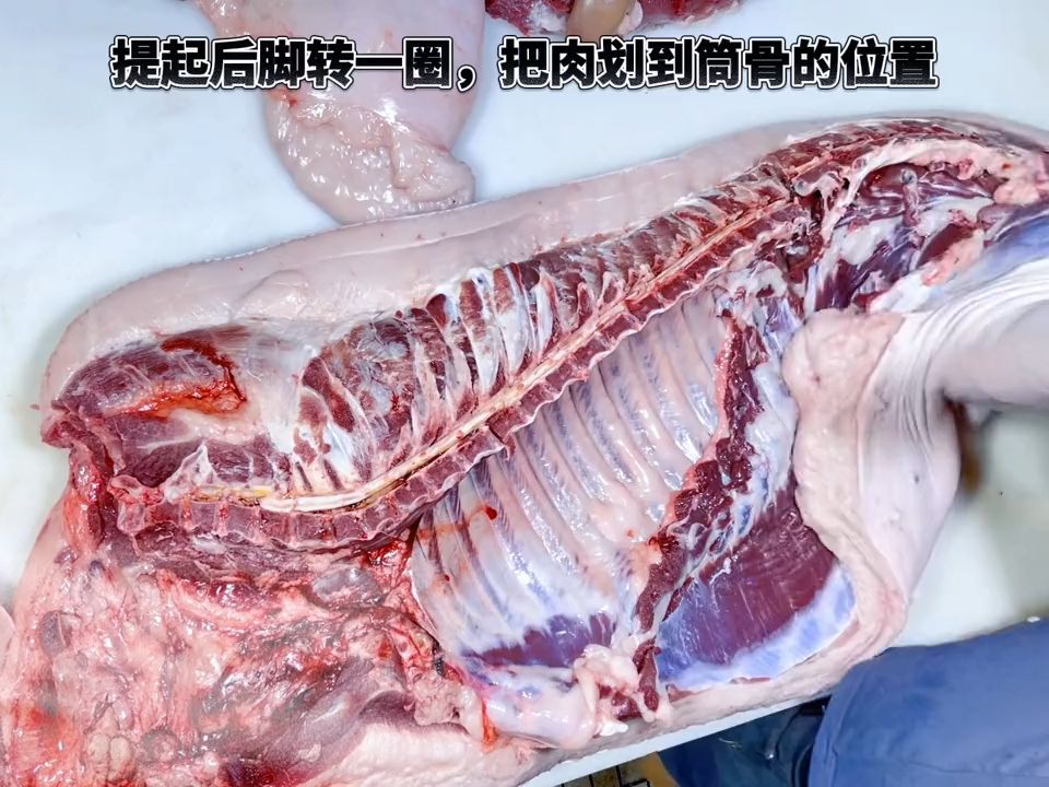 猪肉小哥的科普教你分割猪肉技巧和选购高质量猪肉的秘诀哔哩哔哩bilibili