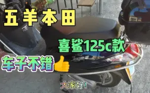 Descargar video: 五羊本田小踏板：喜鲨125c款（好车不贵）