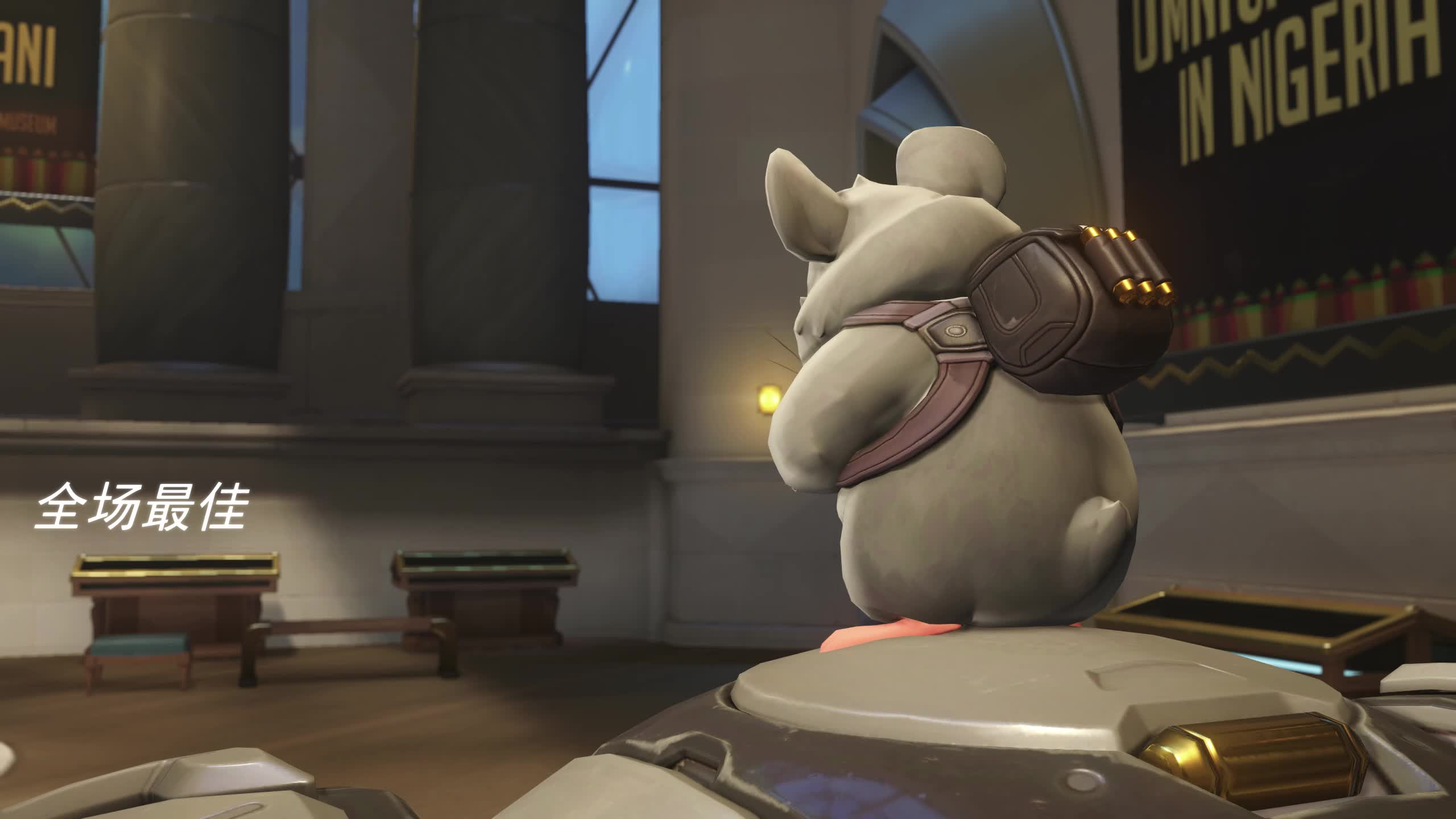 【今日最佳】仓鼠球_哔哩哔哩bilibili_ow