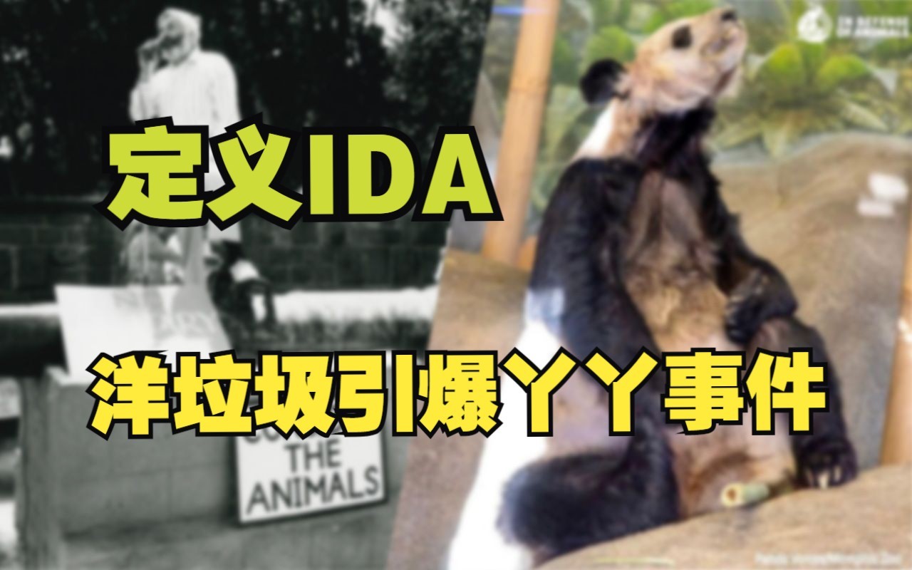 定义IDA,洋垃圾引爆丫丫事件哔哩哔哩bilibili