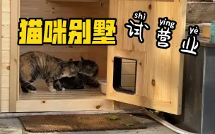 Download Video: 猫咪别墅 试营业第一天