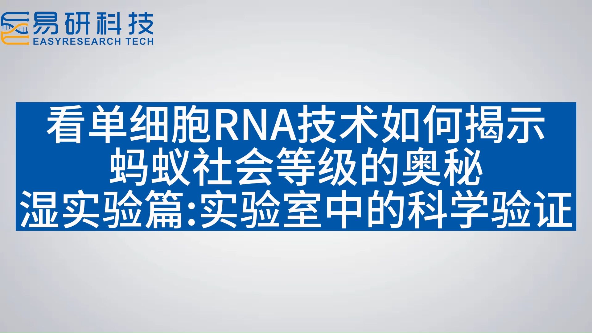 看单细胞RNA技术如何揭示蚂蚁社会等级的奥秘湿实验篇实验室中的科学验证哔哩哔哩bilibili