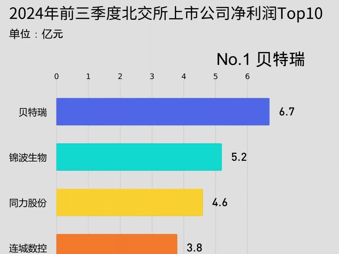 2024年前三季度北交所上市公司净利润Top10哔哩哔哩bilibili