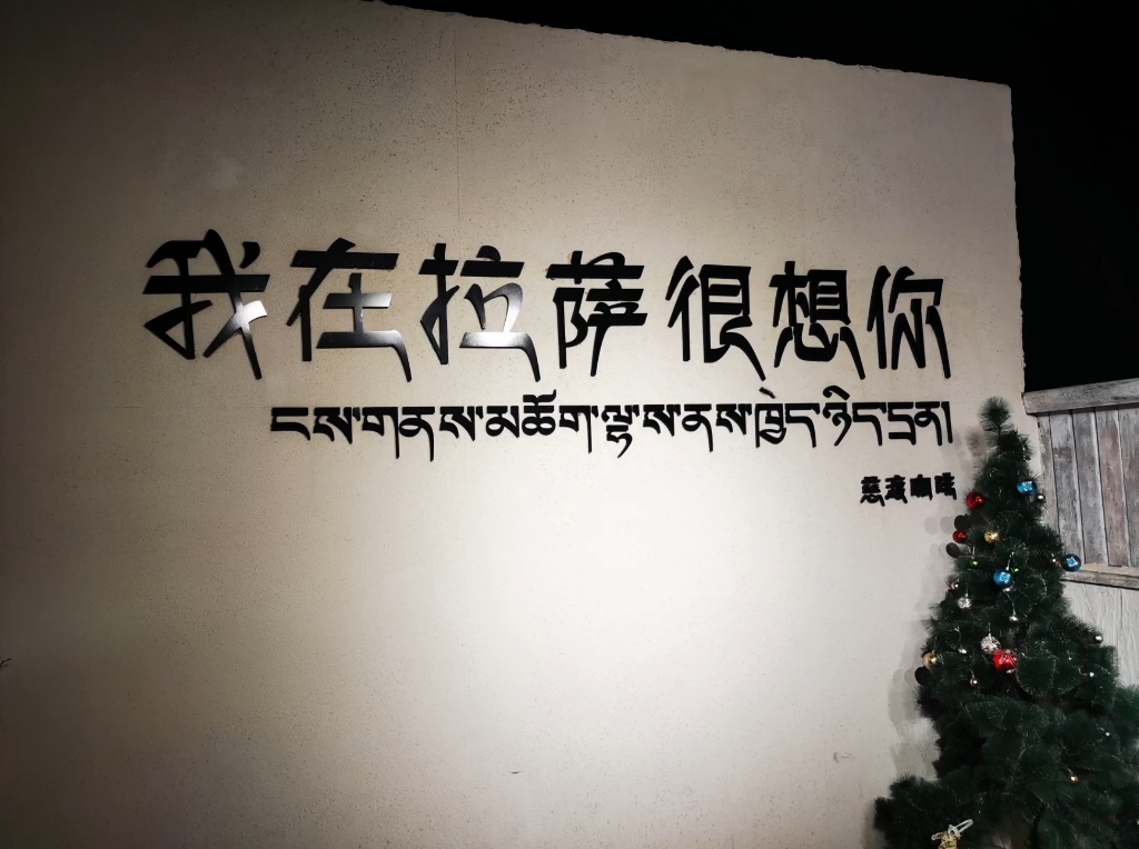 我在拉萨很想你