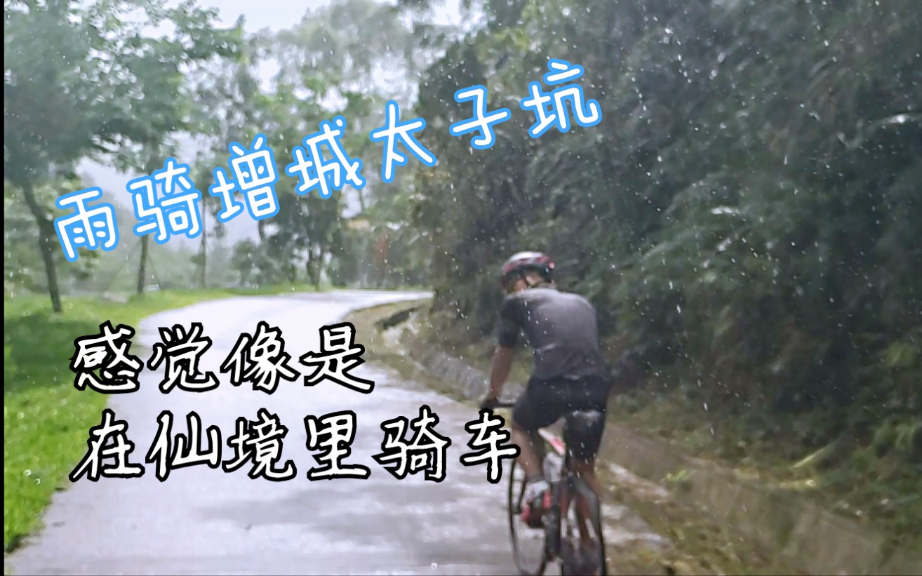 广州骑行|被天气预报骗出去骑车,雨骑增城太子坑,货拉拉已经下载好了哔哩哔哩bilibili