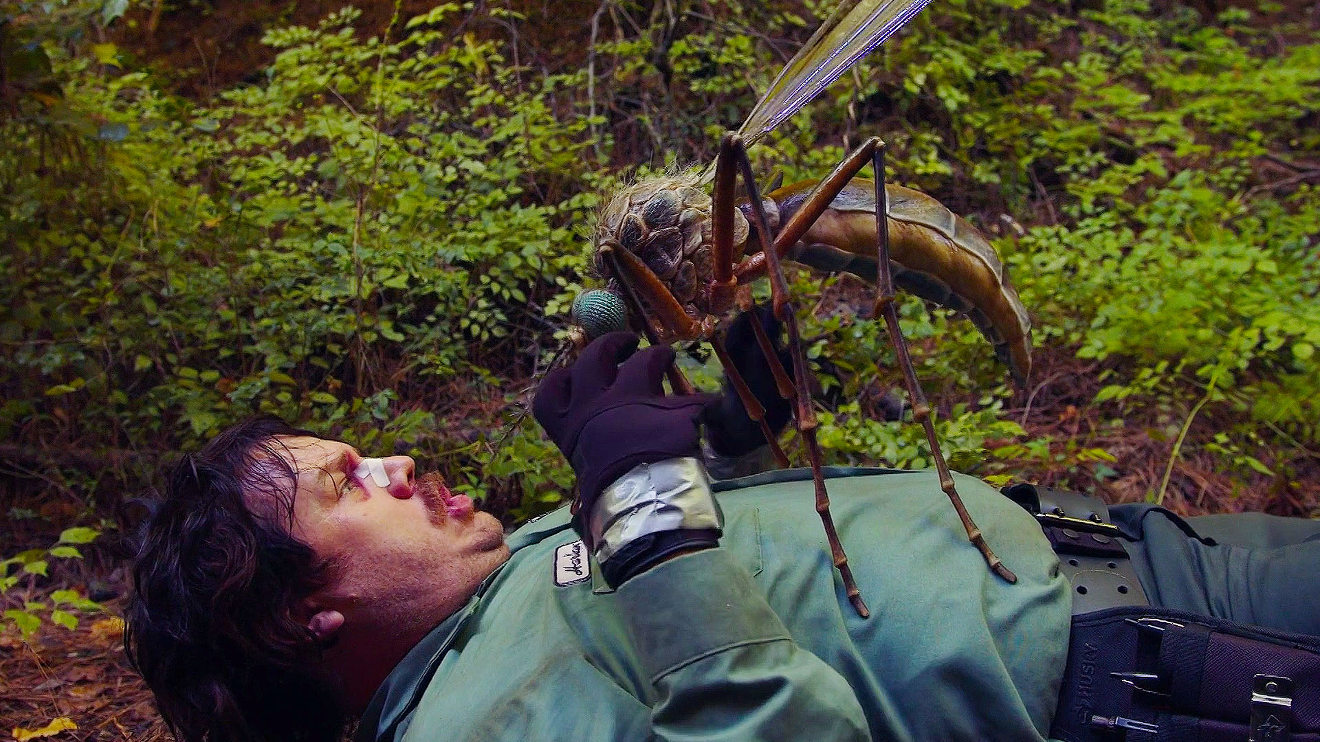 巨型蚊子把灭虫专家扑倒在地,疯狂吸食他的血液