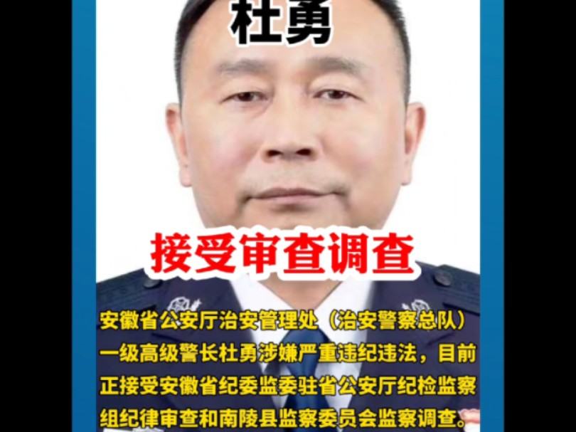 反腐败斗争安徽省公安厅治安管理处(治安警察总队)一级高级警长杜勇