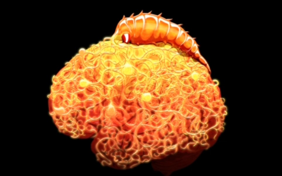 快乐蠕虫 neurax (10/1屏)