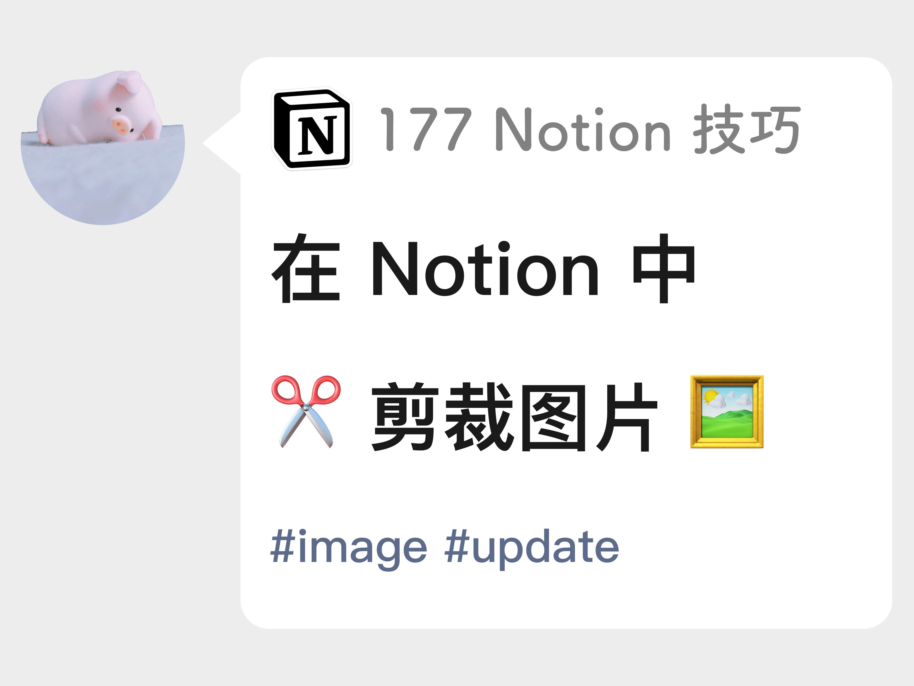 177 notion 技巧 | 在 notion 中剪裁图片