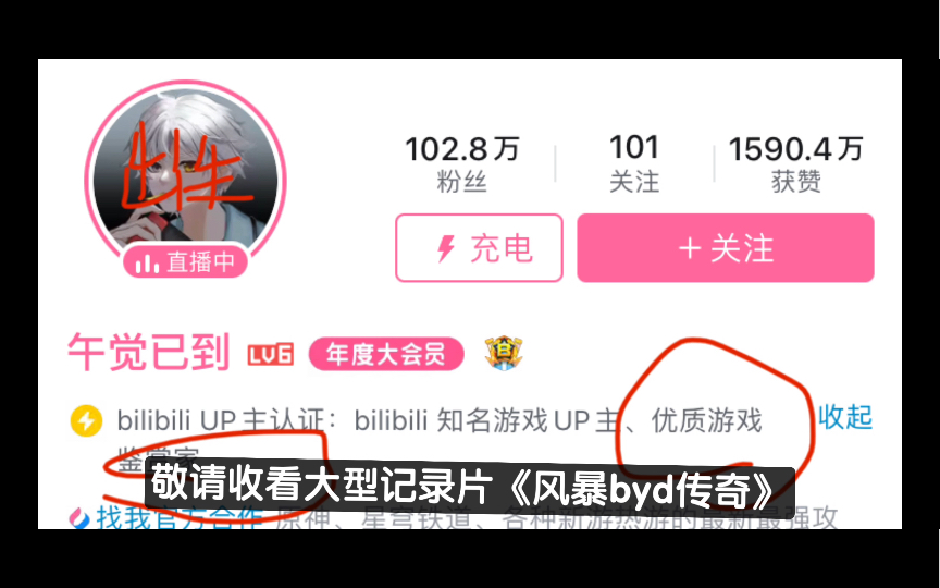 【补档】大型记录片《风暴byd传奇》哔哩哔哩bilibili