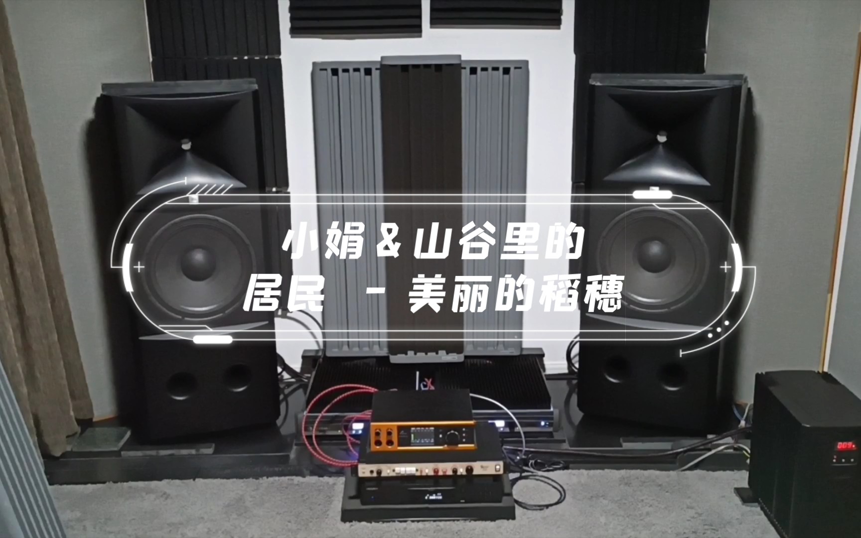 [图]JBL M2 2022-06-29 3米录音 QQ音乐 小娟&山谷里的居民 - 美丽的稻穗