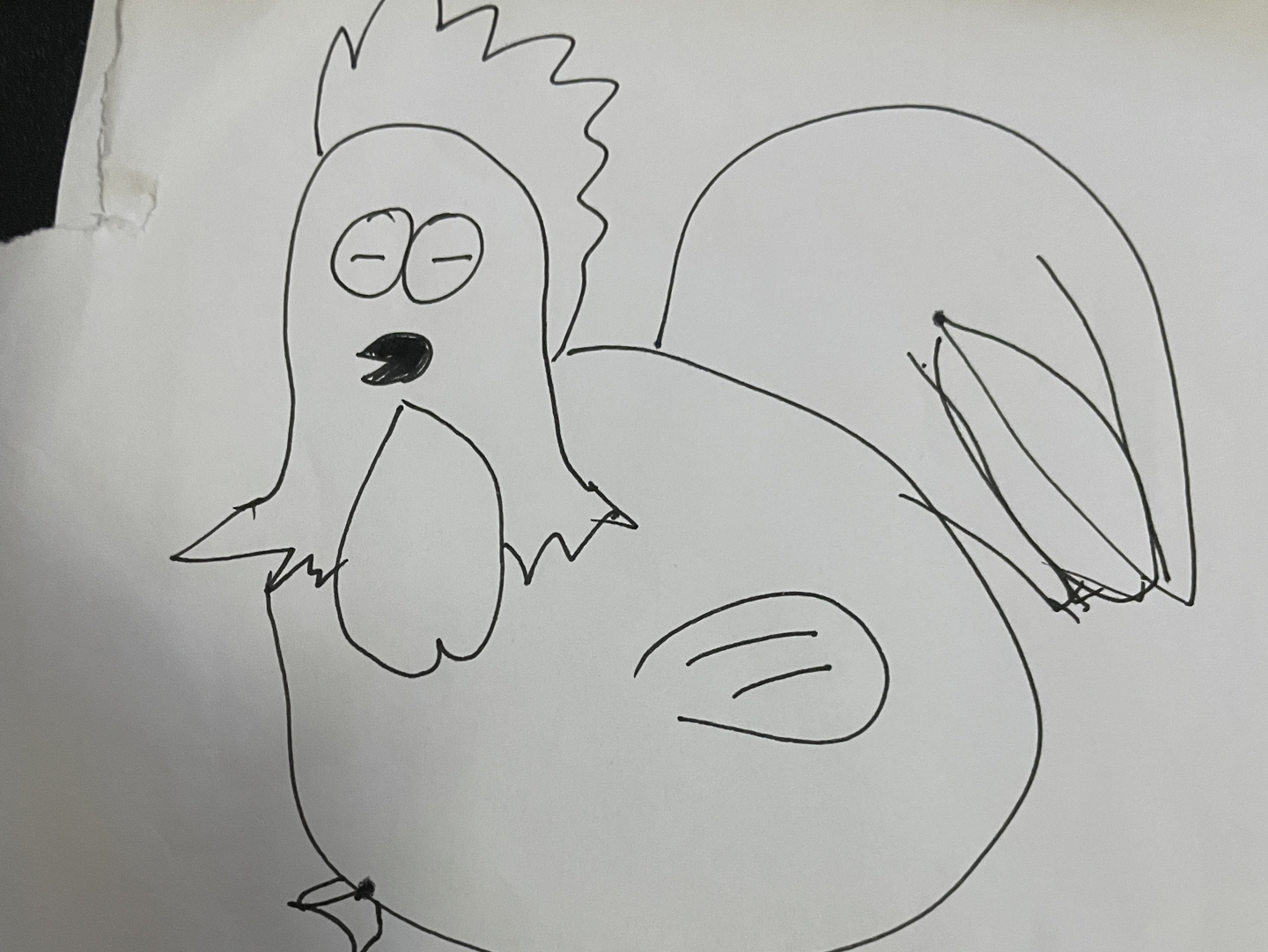 简笔画练习胖鸡