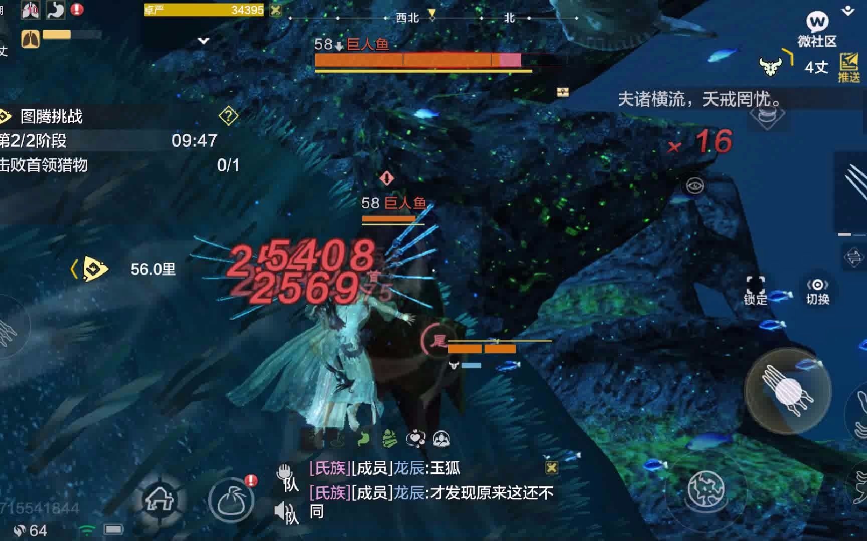 妄想山海 龙吟御剑海底图腾单次实录