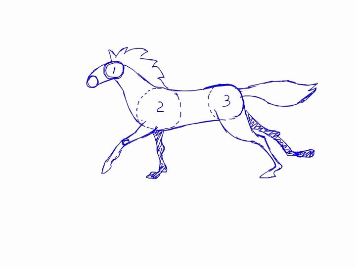 一只奔跑的马简笔画图片