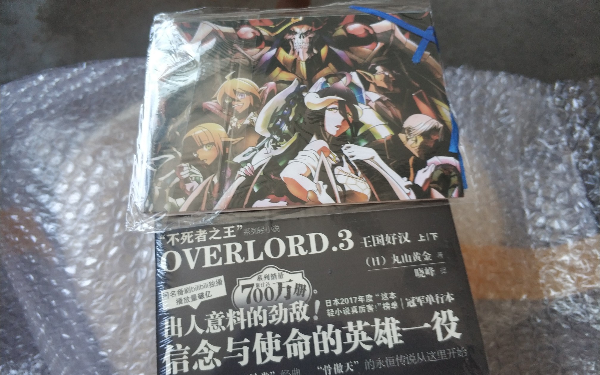 [图]【overlord】实体小说终于到手了！