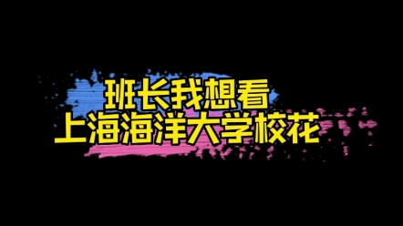 【匿名投稿】学院:毕业于上海海洋大学生日:1999年6月10日星座:双鱼座来自:上海柳柳真的是一个超棒超可爱的女孩子!哔哩哔哩bilibili