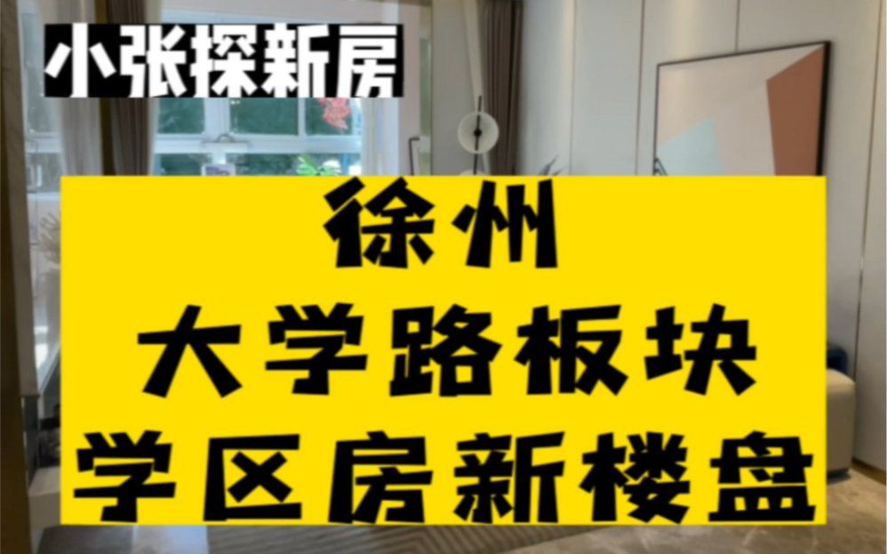 徐州南区大学路板块单价一万多精装修 优质学区房新楼盘哔哩哔哩bilibili